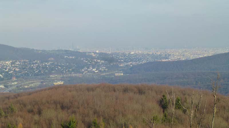 Naturpark Purkersdorf Wienerwald Tiergehege Tiere Aussicht Aussichtsturm Wandern Wanderung Niederösterreich