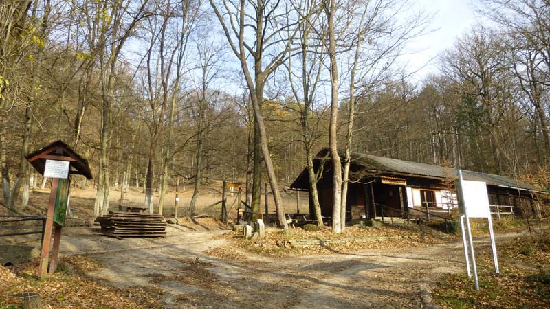 Naturpark Purkersdorf Wienerwald Tiergehege Tiere Aussicht Aussichtsturm Wandern Wanderung Niederösterreich