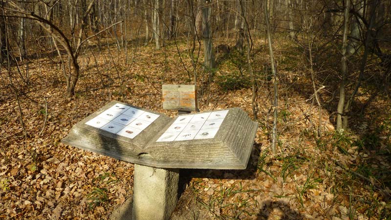 Naturpark Purkersdorf Wienerwald Tiergehege Tiere Aussicht Aussichtsturm Wandern Wanderung Niederösterreich