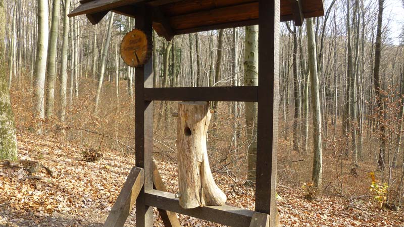 Naturpark Purkersdorf Wienerwald Tiergehege Tiere Aussicht Aussichtsturm Wandern Wanderung Niederösterreich