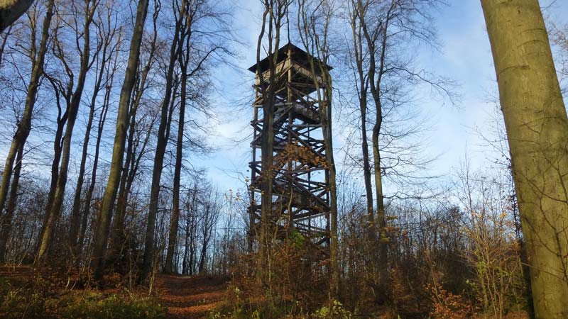 Naturpark Purkersdorf Wienerwald Tiergehege Tiere Aussicht Aussichtsturm Wandern Wanderung Niederösterreich Rudolfshöhe