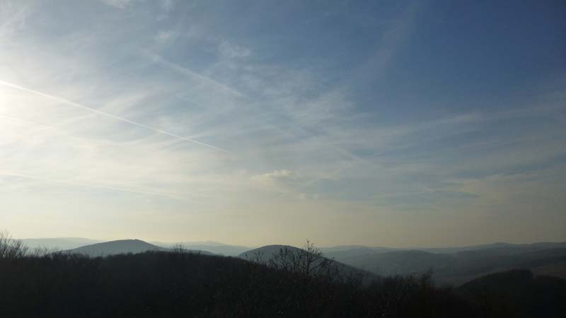 Naturpark Purkersdorf Wienerwald Tiergehege Tiere Aussicht Aussichtsturm Wandern Wanderung Niederösterreich