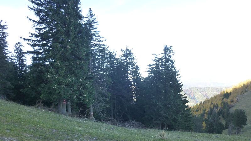 Schneeberg Wandern Almreserlhaus Edelweißhütte Mamauwiese Aussicht