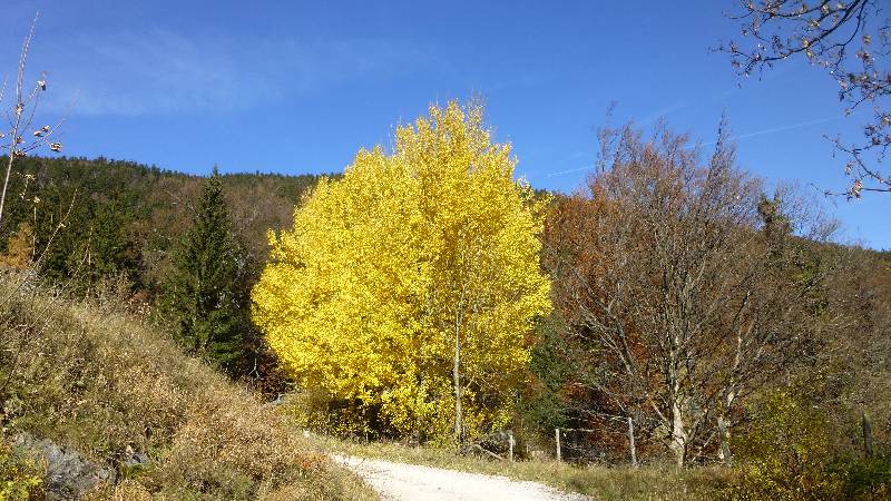 Schneeberg Wandern Almreserlhaus Edelweißhütte Mamauwiese Aussicht Herbst