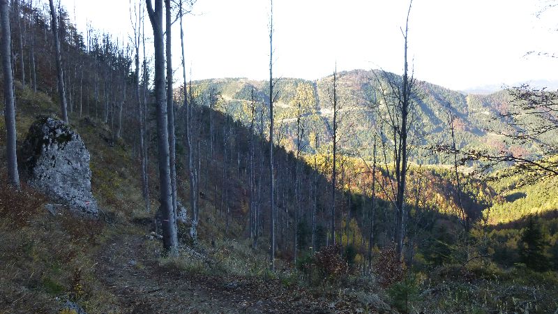 Schneeberg Wandern Almreserlhaus Edelweißhütte Mamauwiese Aussicht