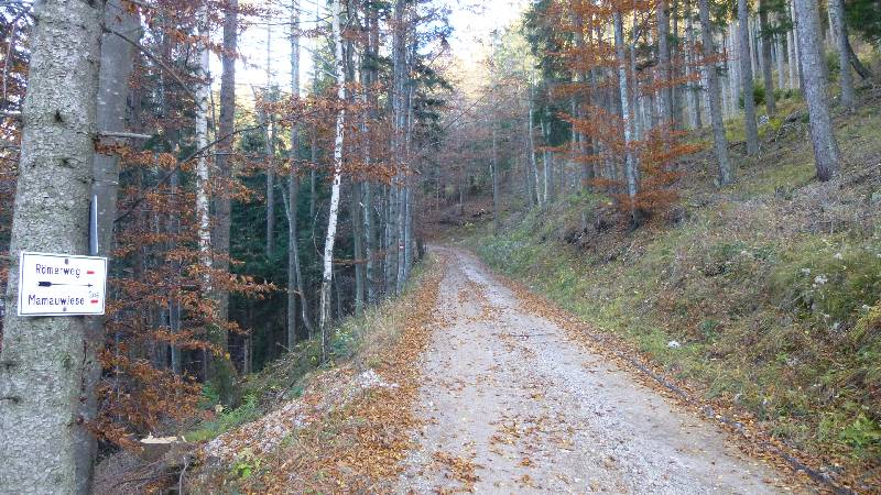 Schneeberg Wandern Almreserlhaus Edelweißhütte Mamauwiese Aussicht