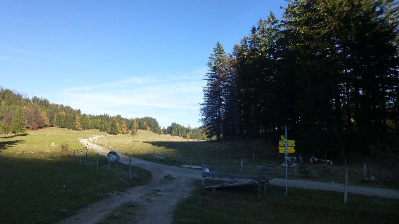 Schneeberg Wandern Almreserlhaus Edelweißhütte Mamauwiese Aussicht