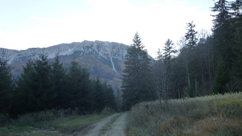 Schneeberg Wandern Almreserlhaus Edelweißhütte Mamauwiese Aussicht