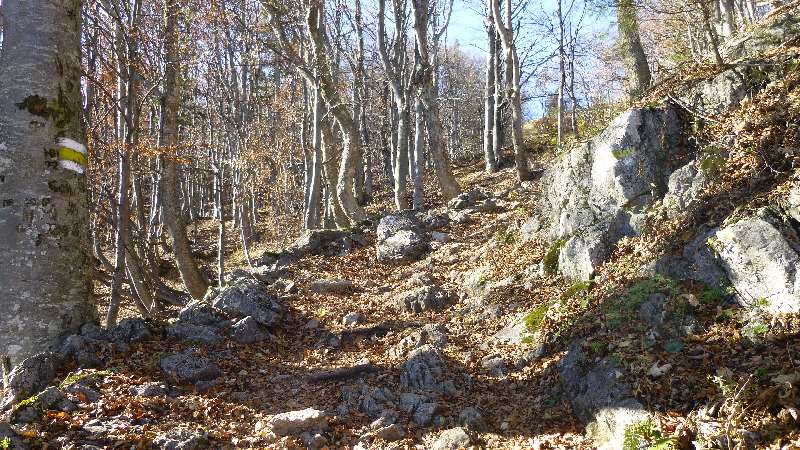 Schneeberg Wandern Almreserlhaus Edelweißhütte Mamauwiese Aussicht