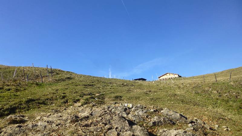 Schneeberg Wandern Almreserlhaus Edelweißhütte Mamauwiese Aussicht