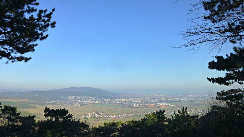 Harzberg Wandern Wanderung Natur Wald Aussicht Aussichtswarte Jubiläumswarte