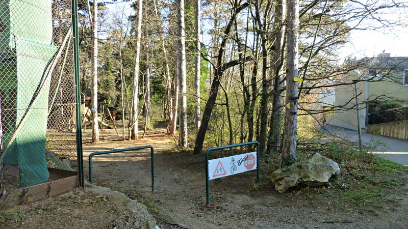 Harzberg Wandern Wanderung Natur Wald Aussicht Aussichtswarte Jubiläumswarte