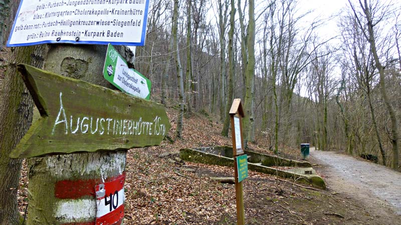 Wandern Wanderung Natur Helenental Augustinerhütte