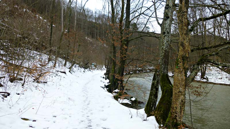 Wandern Wanderung Natur Helenental Augustinerhütte Fluss