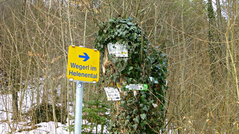 Wandern Wanderung Natur Helenental Augustinerhütte