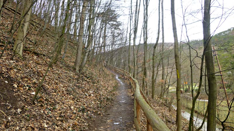 Wandern Wanderung Natur Helenental Augustinerhütte