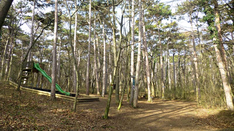 Kaiserstein Waldlehrpfad Bad Vöslau Wald Natur Aussicht Harzberg