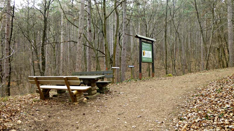 Kaiserstein Waldlehrpfad Bad Vöslau Wald Natur Aussicht Harzberg