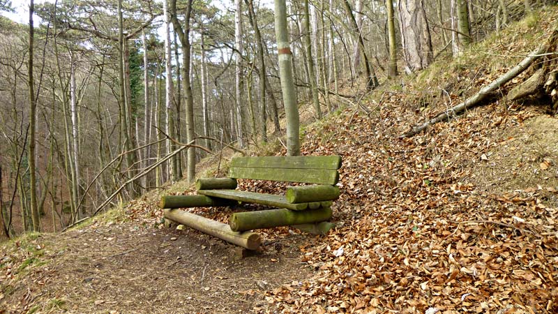 Kaiserstein Waldlehrpfad Bad Vöslau Wald Natur Aussicht Harzberg