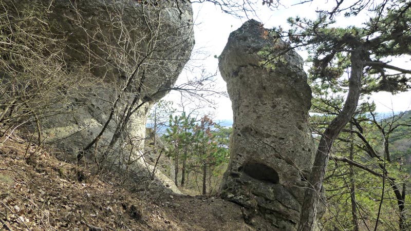 Kaiserstein Waldlehrpfad Bad Vöslau Wald Natur Aussicht Harzberg