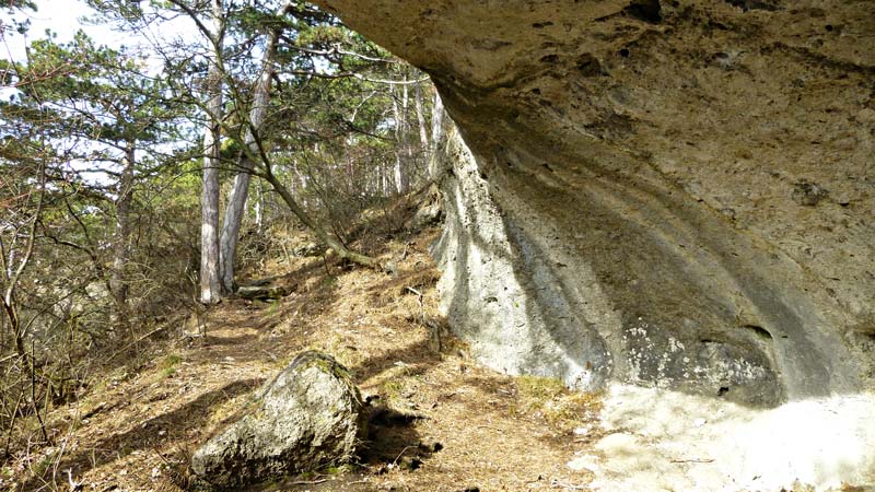 Kaiserstein Waldlehrpfad Bad Vöslau Wald Natur Aussicht Harzberg