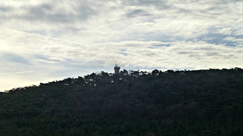 Kaiserstein Waldlehrpfad Bad Vöslau Wald Natur Aussicht Harzberg