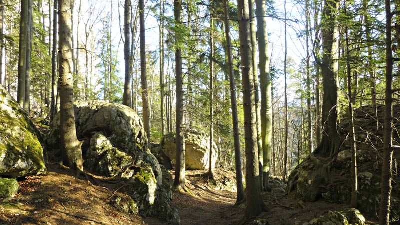 Myrafälle Wandern Wanderung Hausstein Aussicht Gipfelkreuz Natur Wald Ausflug Muggendorf