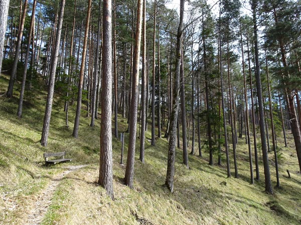 Mariahilfberg Gutenstein Wandern Wanderung Natur Wald Aussicht Schneeberg Grotte Kreuzweg Bäume