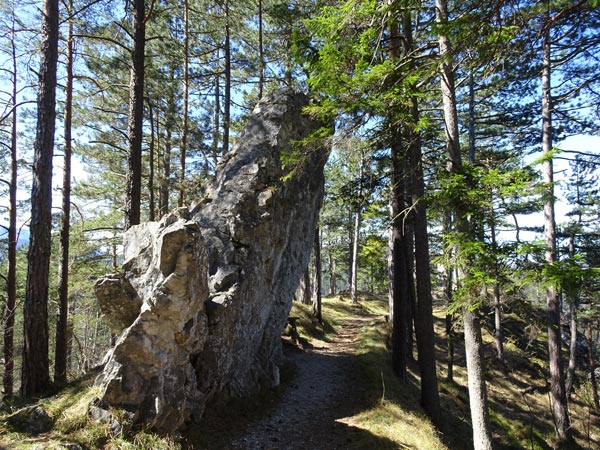 Mariahilfberg Gutenstein Wandern Wanderung Natur Wald Aussicht Schneeberg Grotte Kreuzweg Bäume Felsen Felswand