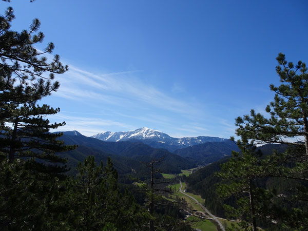 Mariahilfberg Gutenstein Wandern Wanderung Natur Wald Aussicht Schneeberg Grotte Kreuzweg Schneebergblick