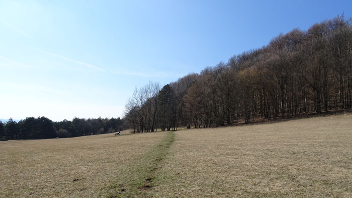 Naturpark Sparbach Wienerwald Wandern Wanderung Niederösterreich Ruine Tiere Streichelzoo Park Wald Natur Aussicht Dianawiese