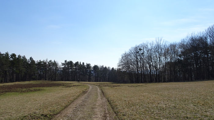 Naturpark Sparbach Wienerwald Wandern Wanderung Niederösterreich Ruine Tiere Streichelzoo Park Wald Natur Aussicht Dianawiese