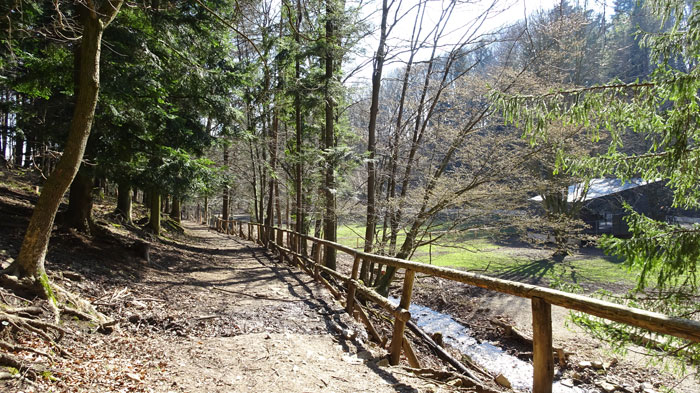 Naturpark Sparbach Wienerwald Wandern Wanderung Niederösterreich Ruine Tiere Streichelzoo Park Wald Natur Aussicht