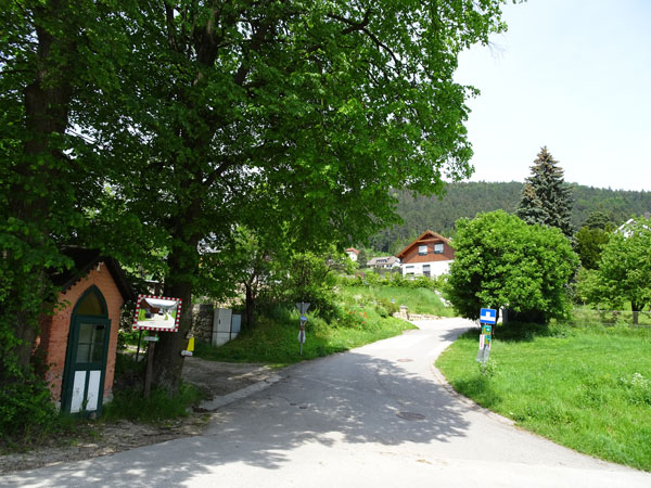 Rudolf Fordinal Haus Elisabethaussicht Großer Kitzberg Wandern Wanderung Niederösterreich Aussicht Waidmannsfeld Pernitz Natur Wald