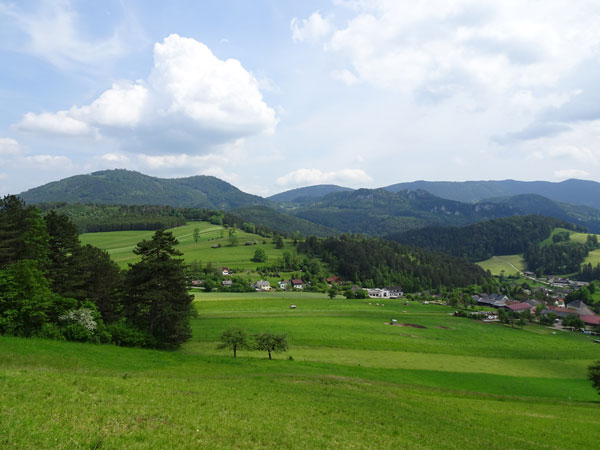 Rudolf Fordinal Haus Elisabethaussicht Großer Kitzberg Wandern Wanderung Niederösterreich Aussicht Waidmannsfeld Pernitz Natur Wald