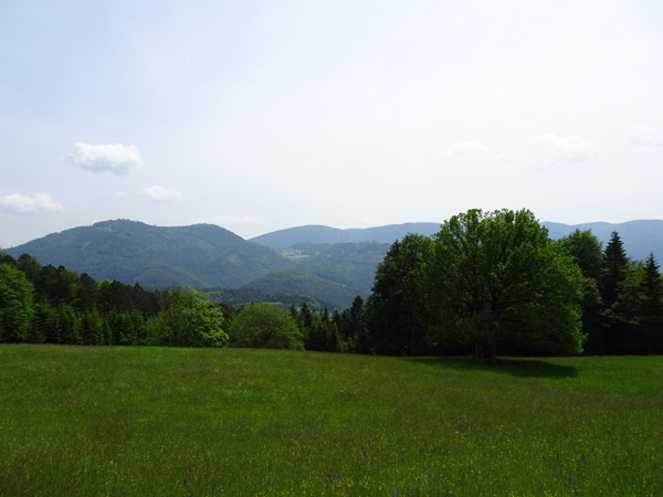 Rudolf Fordinal Haus Elisabethaussicht Großer Kitzberg Wandern Wanderung Niederösterreich Aussicht Waidmannsfeld Pernitz Natur Wald