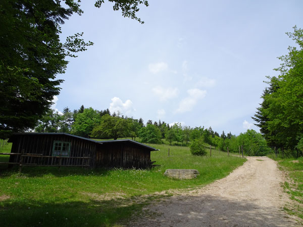 Rudolf Fordinal Haus Elisabethaussicht Großer Kitzberg Wandern Wanderung Niederösterreich Aussicht Waidmannsfeld Pernitz Natur Wald