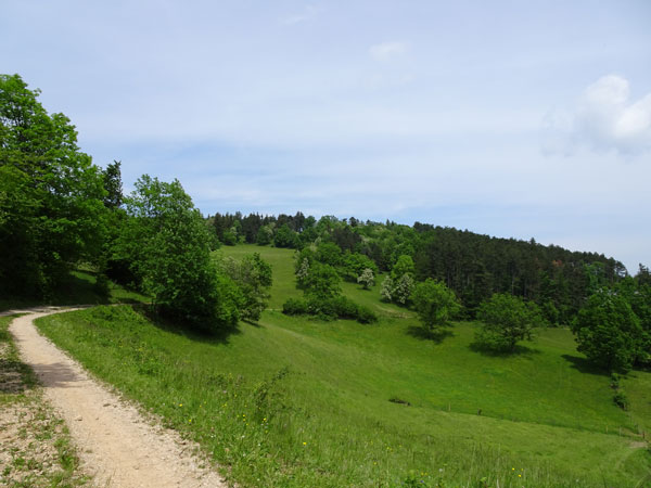 Rudolf Fordinal Haus Elisabethaussicht Großer Kitzberg Wandern Wanderung Niederösterreich Aussicht Waidmannsfeld Pernitz Natur Wald