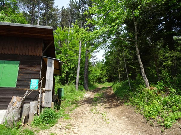 Rudolf Fordinal Haus Elisabethaussicht Großer Kitzberg Wandern Wanderung Niederösterreich Aussicht Waidmannsfeld Pernitz Natur Wald