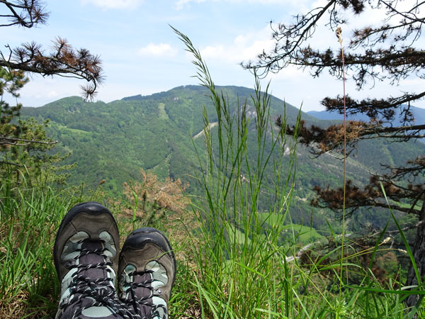 Rudolf Fordinal Haus Elisabethaussicht Großer Kitzberg Wandern Wanderung Niederösterreich Aussicht Waidmannsfeld Pernitz Natur Wald