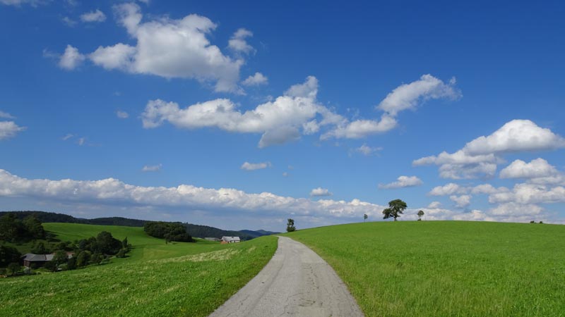 ARABURG-ART (11)