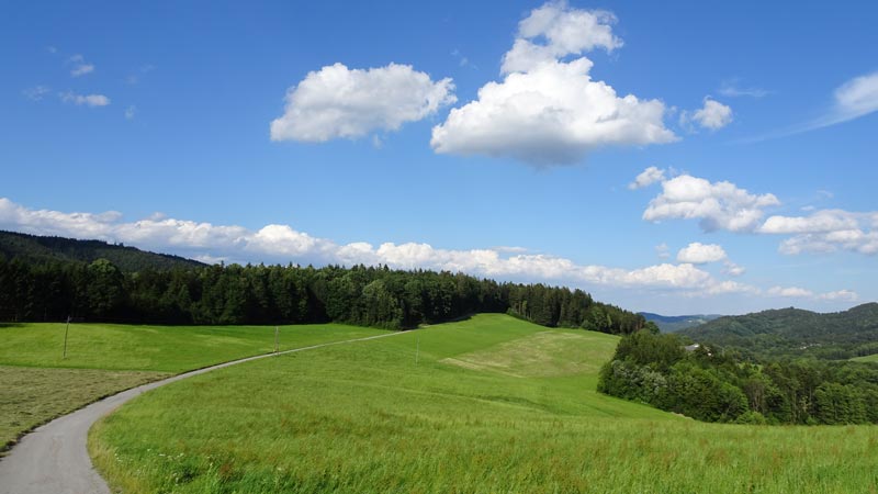 ARABURG-ART (13)