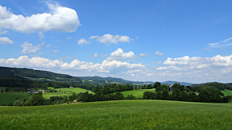 ARABURG-ART (4)