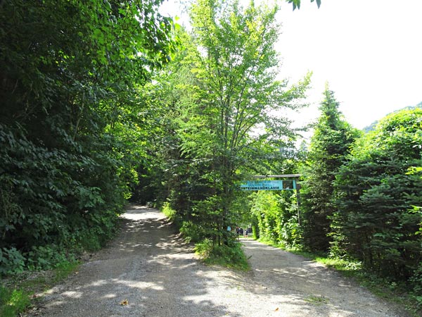 Steinwandklamm Klamm Niederösterreich Furth Triestingtal Wandern Wanderung Höhle Aussicht Natur Wald