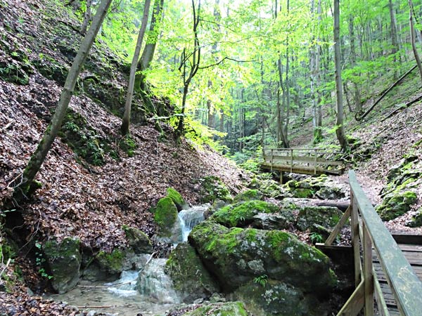 Steinwandklamm Klamm Niederösterreich Furth Triestingtal Wandern Wanderung Höhle Aussicht Natur Wald