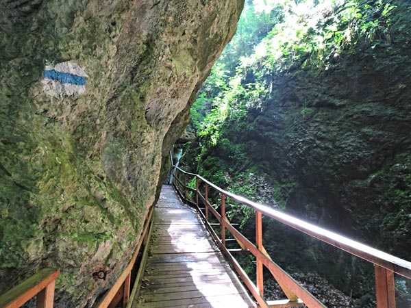 Steinwandklamm Klamm Niederösterreich Furth Triestingtal Wandern Wanderung Höhle Aussicht Natur Wald