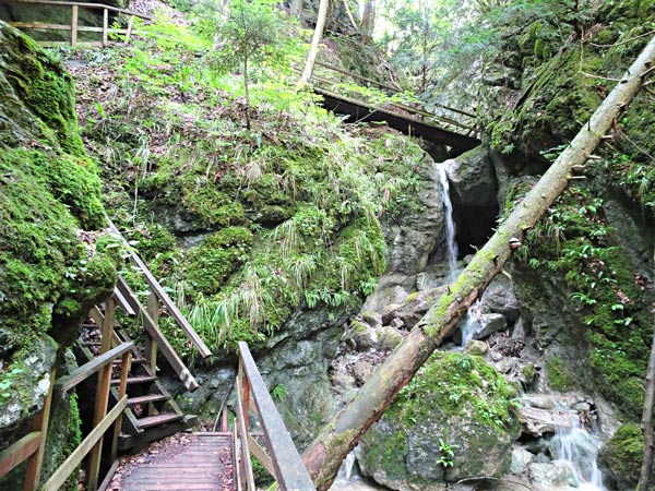 Steinwandklamm Klamm Niederösterreich Furth Triestingtal Wandern Wanderung Höhle Aussicht Natur Wald