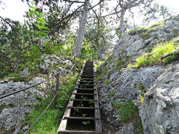 Steinwandklamm Klamm Niederösterreich Furth Triestingtal Wandern Wanderung Höhle Aussicht Natur Wald