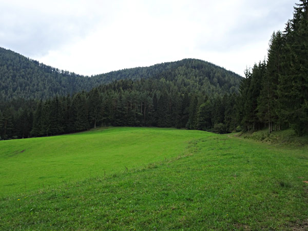 rohr-im-gebirge-gal-4