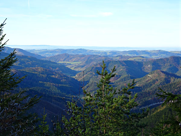 Kieneck Enzianhütte Enziansteig Matrassteig Aussicht Gipfelkreuz Gipfel Gutensteiner Alpen Wandern Wanderung Wald 
